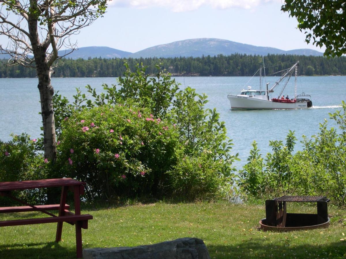 Narrows Too Camping Resort Loft Cottage 12 特伦顿 外观 照片